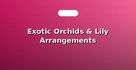 Exotic Orchids & Lily Arrangements